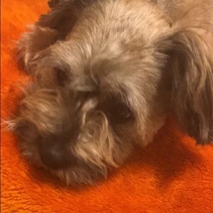 Meet your Posher, Samirah